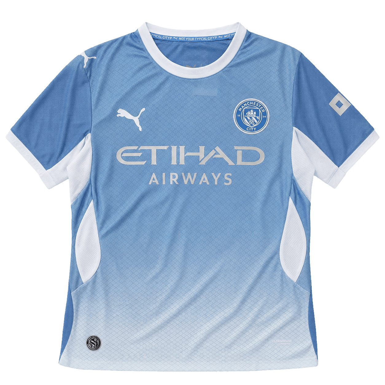 Иллюстрация модели: Manchester City, домашняя