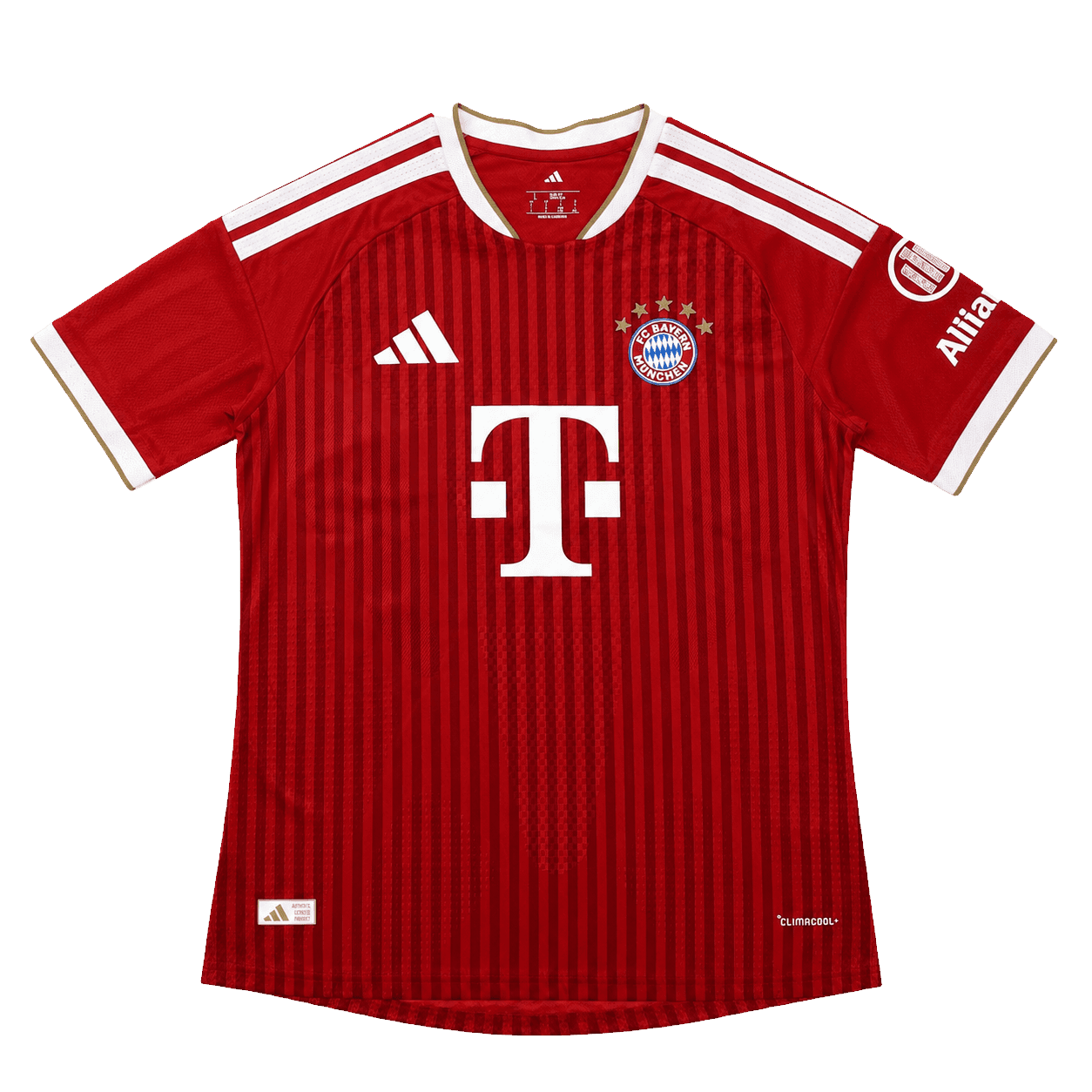 Иллюстрация модели: Bayern Munich, домашняя